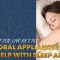 Sleep Better, Live Better: How Oral Appliances Can Help with Sleep Apnea (featured image)